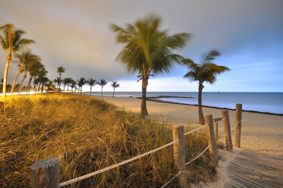 Boardwalk through the dunes to the beach
