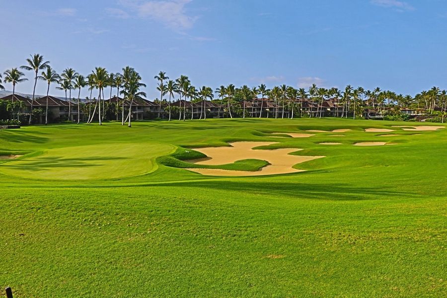 Fairway bunkers beneath a row of palm trees
