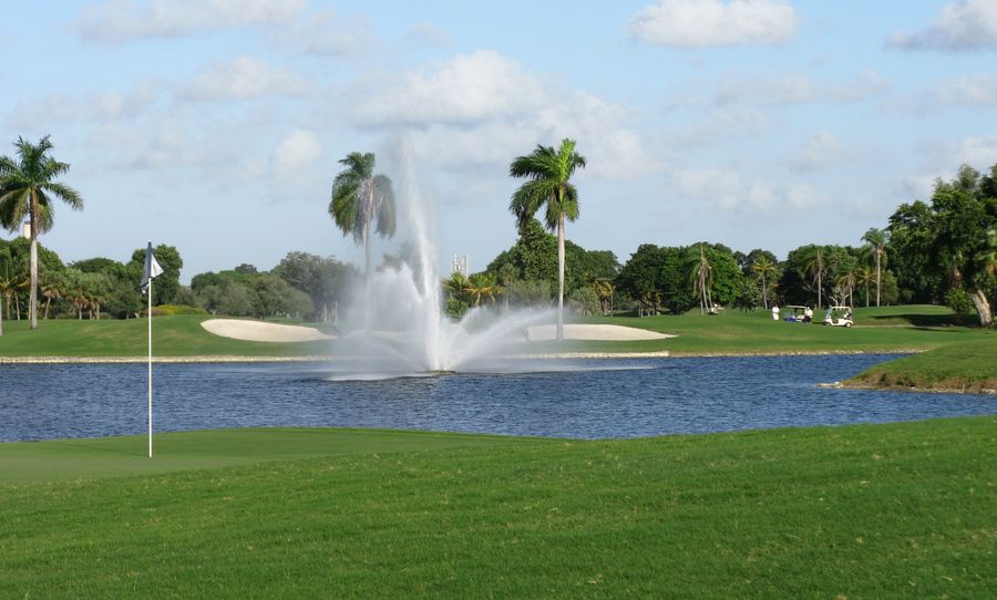 Fountain and palms beside a manicured green