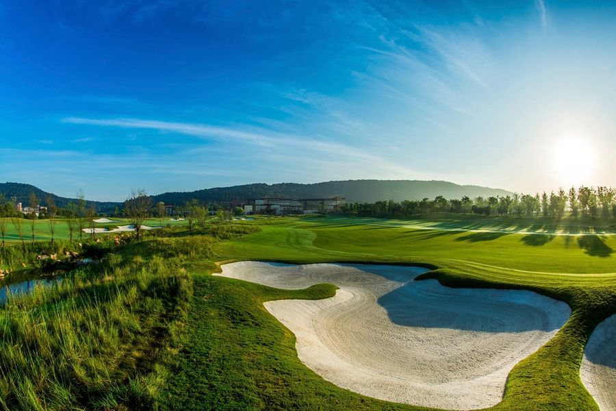Morning sun over sculpted greenside bunkers