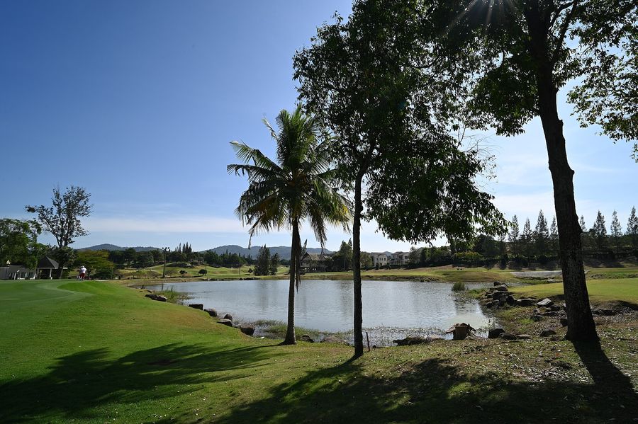 Golf course pond framed by palm trees