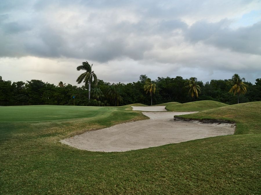 Bunkers and palms on a seaside course