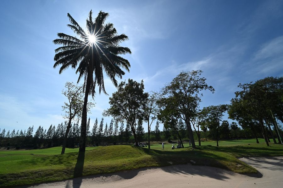 Palm-lined green on a sunny afternoon
