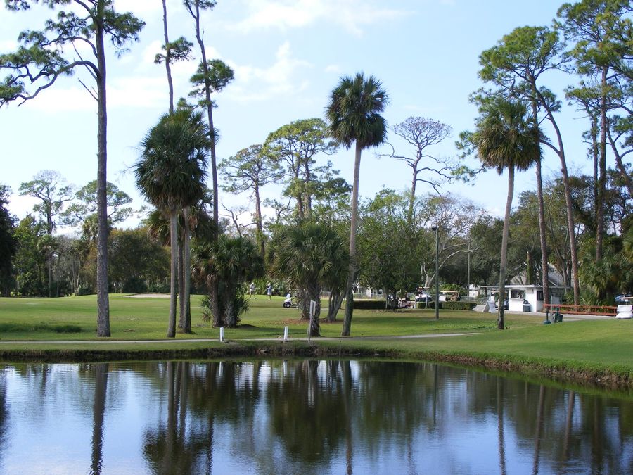 Pond reflecting tall pines on a golf course