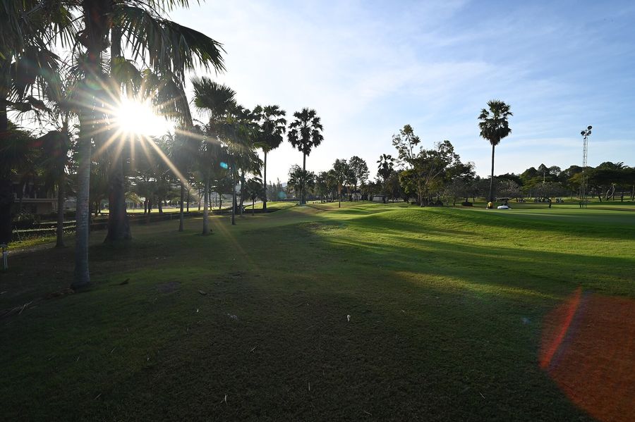 Sunlight through palms onto a quiet green