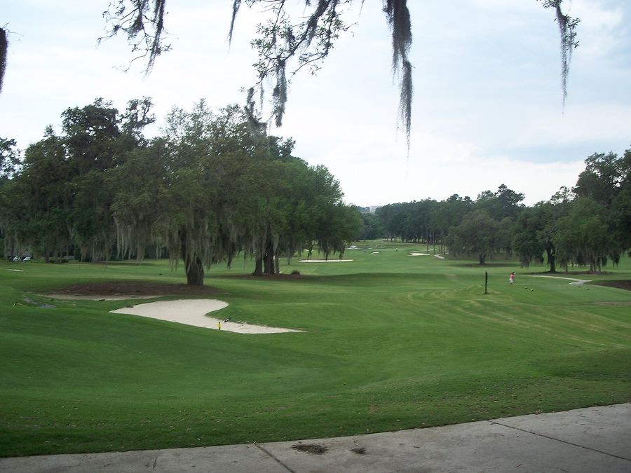 Live oaks shading a green and bunker