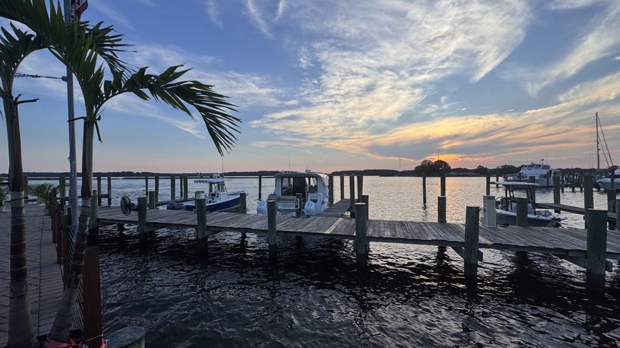 Palm-framed dock on the water at sunset