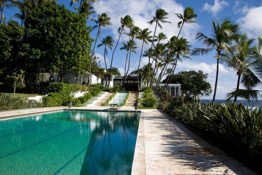 Lap pool framed by tropical palms