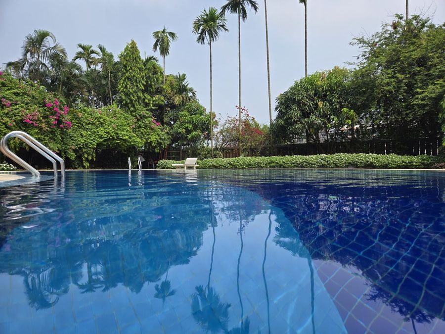 Swimming pool surrounded by tropical gardens