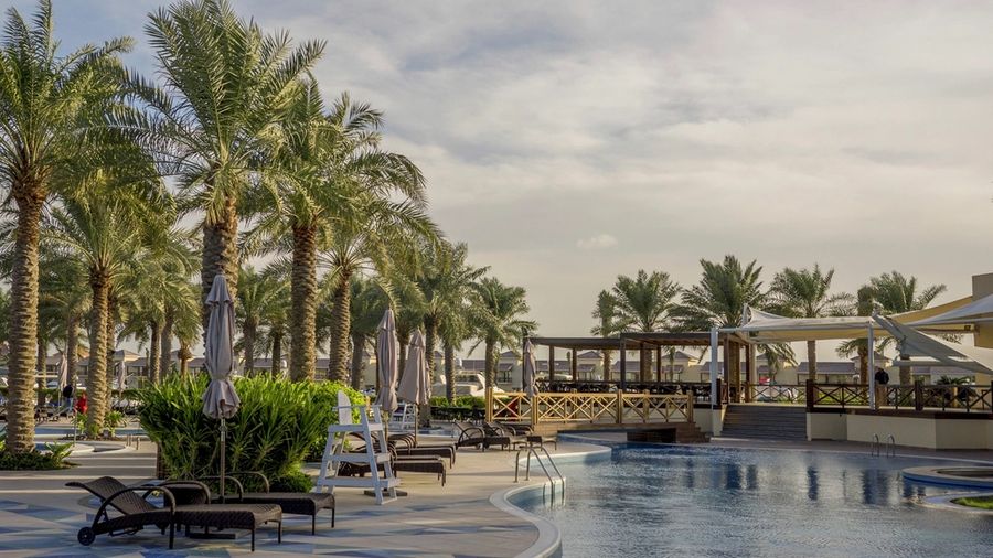 Pool deck with loungers and palms