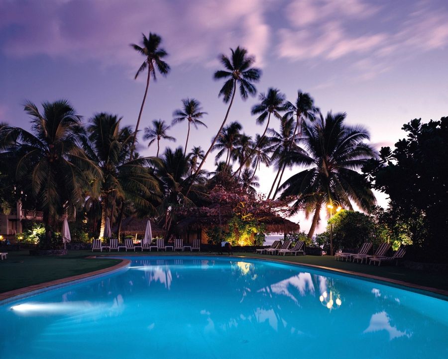 Pool at dusk beneath palm trees