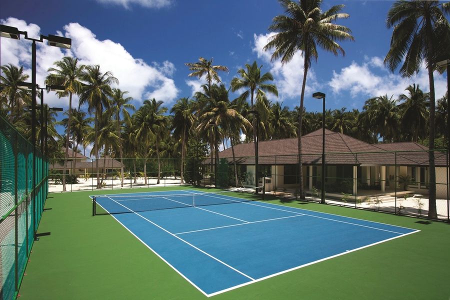 Hard court tennis among palm trees